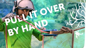 Mechanical Advantage 101 | beginner mechanical advantage system 2:1