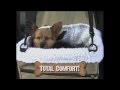 Doggy Pocket Booster Seat for Pets