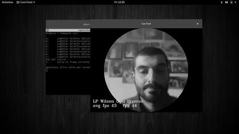Real Time Log Polar Image Processing CPU vs GPU