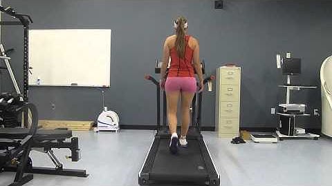 Biomechanics Assignment 3 Back