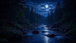 Babbling Brook Under the Moon | Soft Creek Water Sounds for Sleep | 6 Hours (No Music) screenshot 5
