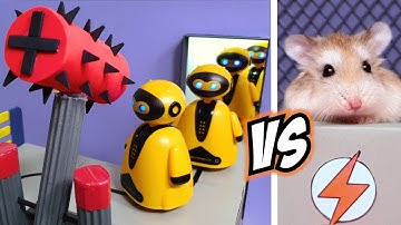 Major HAMSTER vs CAT in ROBOT BATTLE