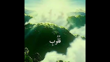 سورة الفتح||محمد صديق المنشاوي