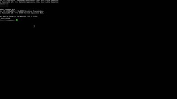 How to Boot Into Maintenance Mode on a NetApp System by Nicholas Lee Fagan