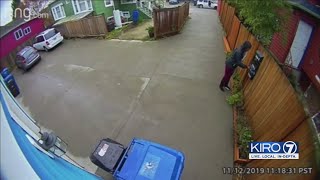 VIDEO: 'Prolific' package thief arrested, police say