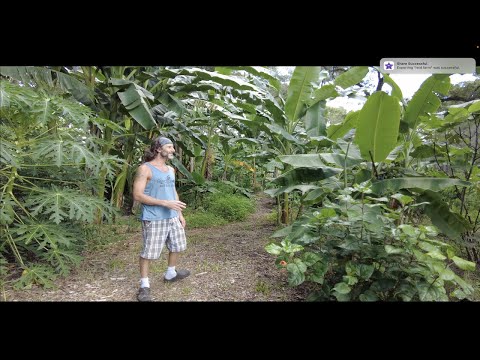 Trial and error produces amazing food forest