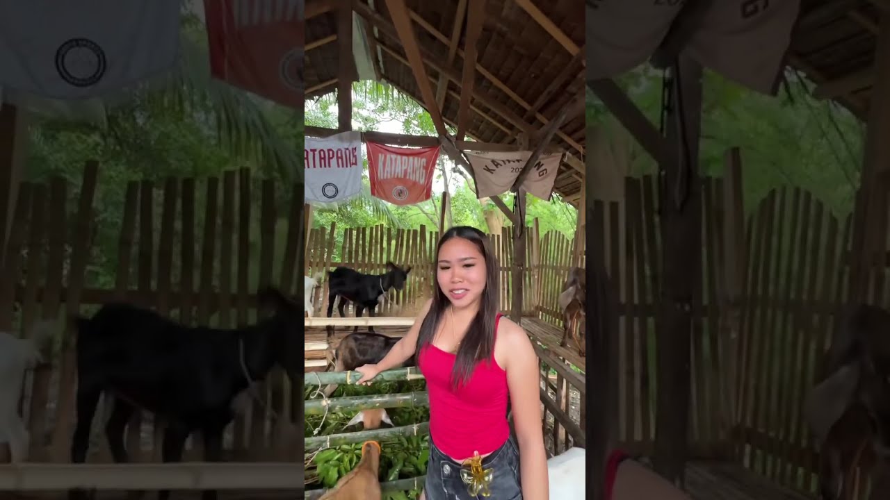 ang daming kambing ni kuya boytapang #GIRLTAPANG 😍