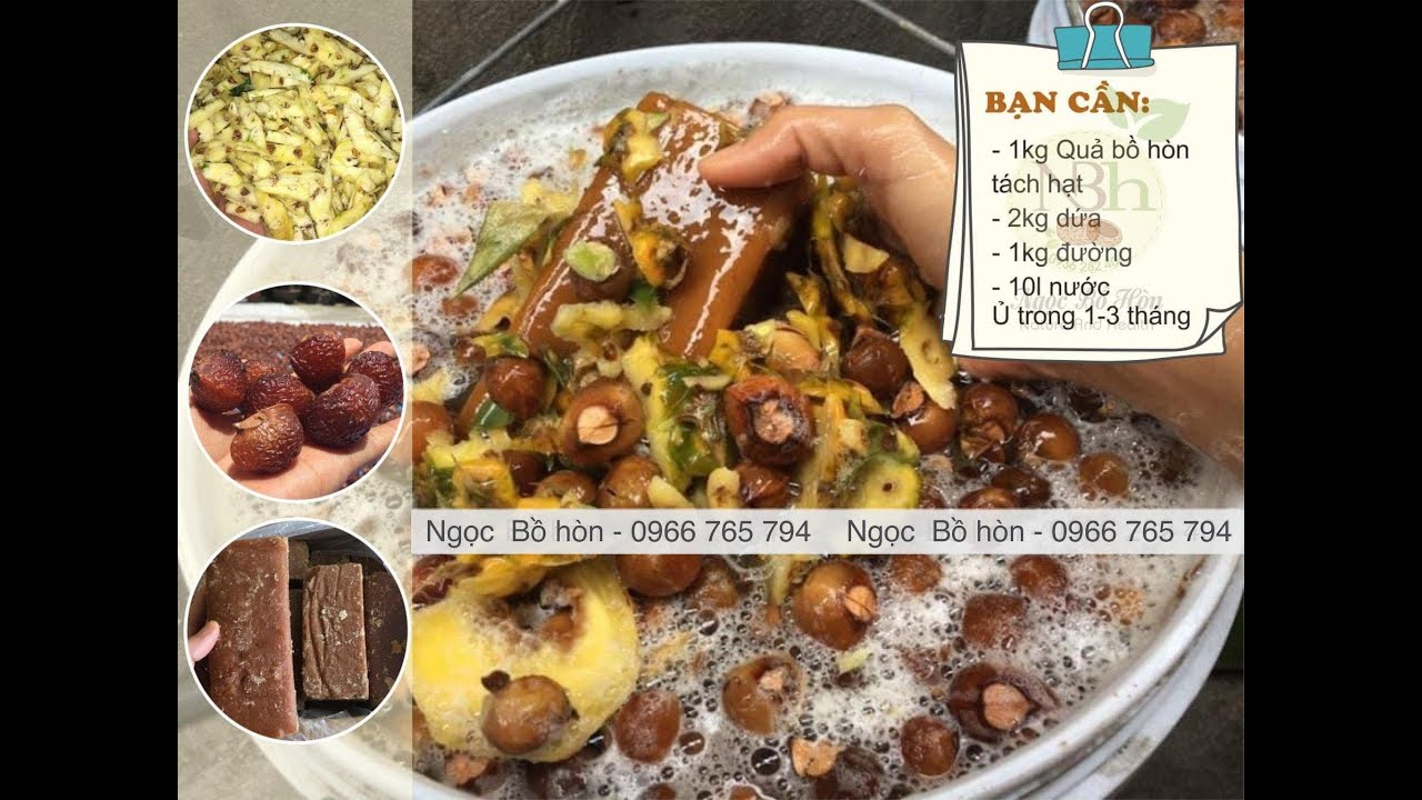 Hướng dẫn làm enzyme bồ hòn để rửa bát lau nhà sạch dầu mỡ và mùi tanh hiệu quả