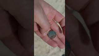 Находка монеты на пляже металлоискателем эквинокс 700 #beachdetecting #кладоискательство #поискнапля