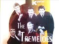 THE TREMELOES - HITY  (CD)