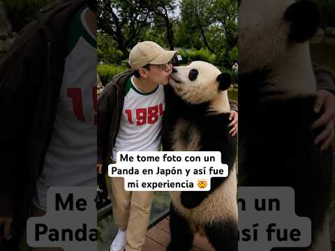 ME TOMÉ UNA FOTO con un PANDA en Japón, y así fue mi experiencia