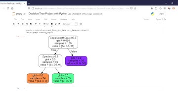 Decision Tree Project with Python Jupyter Notebook