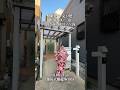 【世田谷区/三宿】81㎡の4LDK戸建。新耐震×内装リフォーム済、駐車場付・三宿の森徒歩3分の落ち着いた住環境。#東京 #不動産