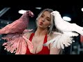 Я заплатила $1 vs $1000! Двухчубые голуби. Tauben. Pigeons. Palomas. Pombos. 비둘기.