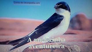 A andorinha aventureira #contadoradehistórias #português