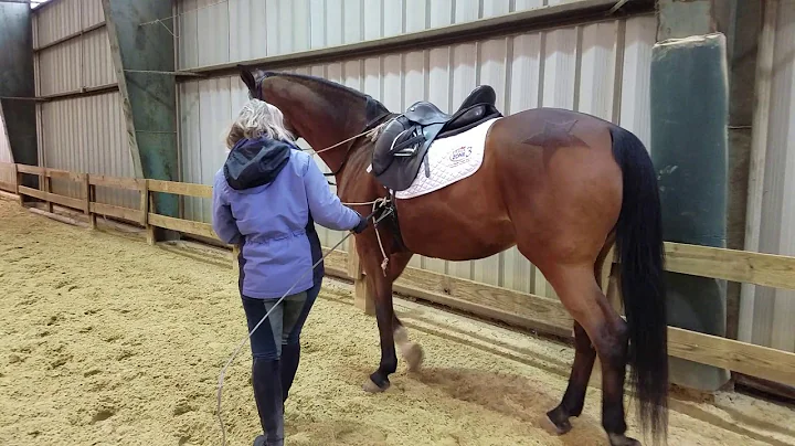 Horses I Have Known- Doucette In Hand