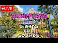  sights  sounds of disneyland 