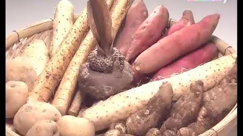Nét đẹp Nhật Bản - Các loại khoai trong cuộc sống người Nhật || Khám Phá Nhật Bản