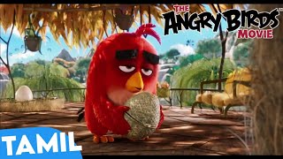 Part 1 [Baked Cake]| Angry Birds Movie Tamil| Angry Birds Tamil| Anime Area