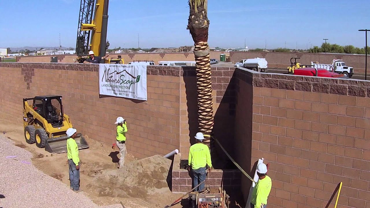NatureScape Commercial Tree Installation