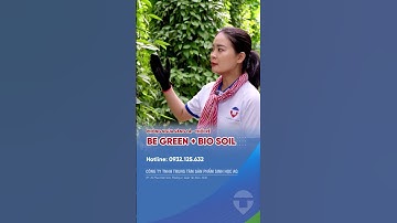 đặc trị vàng lá thối rễ trên cây trồng #shots