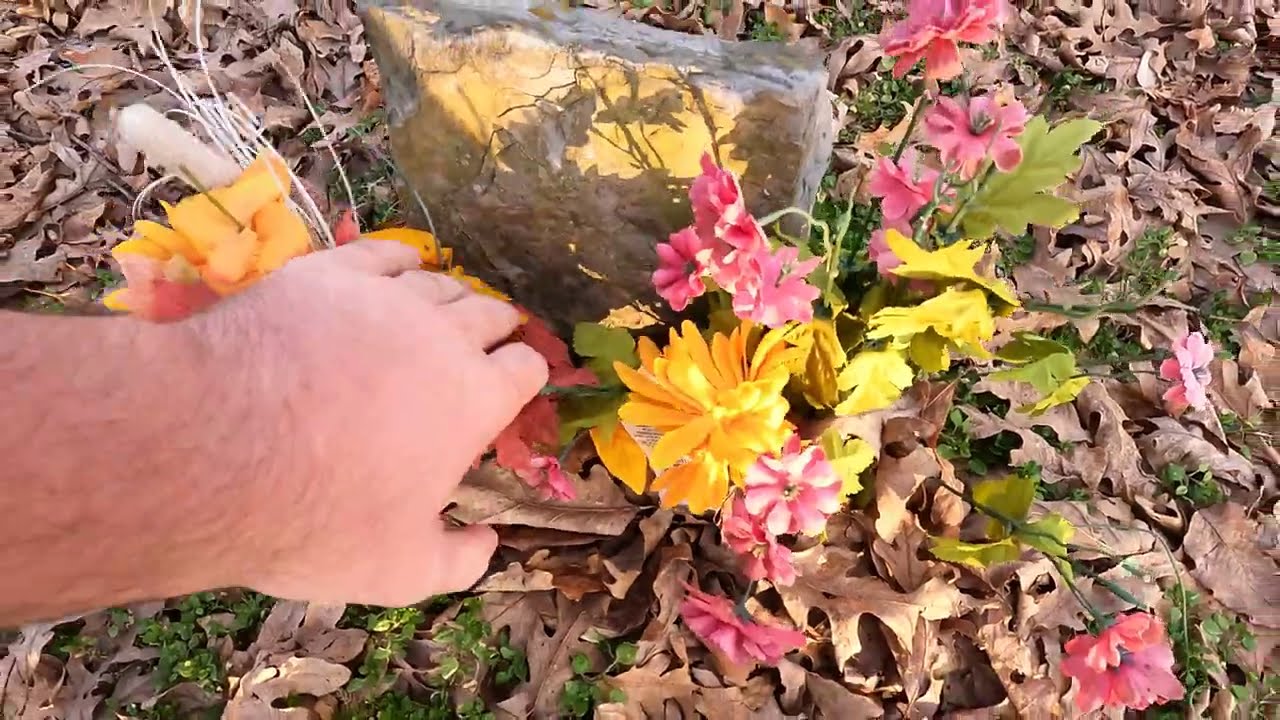 The Resting Tree:  A Slave Cemetery That Was Almost Lost, Abandoned & Forgotten in Bristol, Virginia