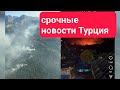 Турция. ❗ТУРЦИЯ СЕГОДНЯ❗ Анталия, Кемер пожар.  Новости Турции. Отдых Турция.