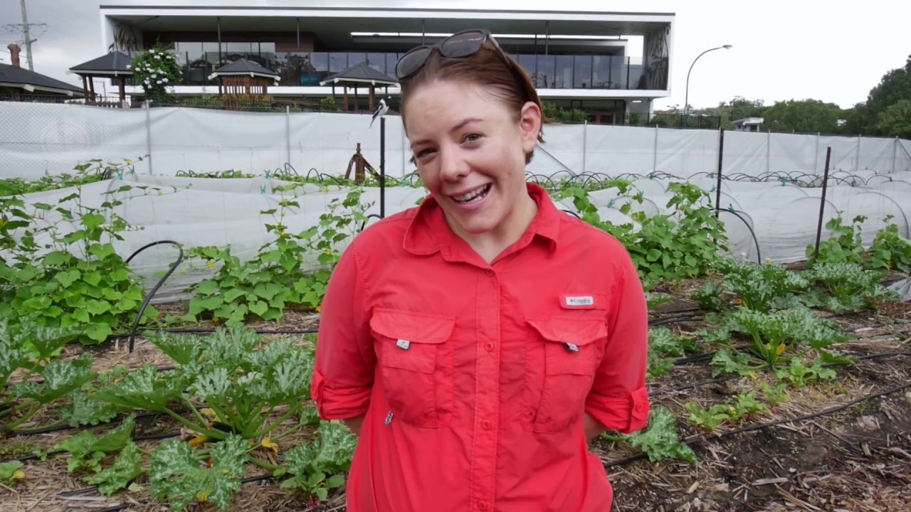 Mini Farm Project with Amy