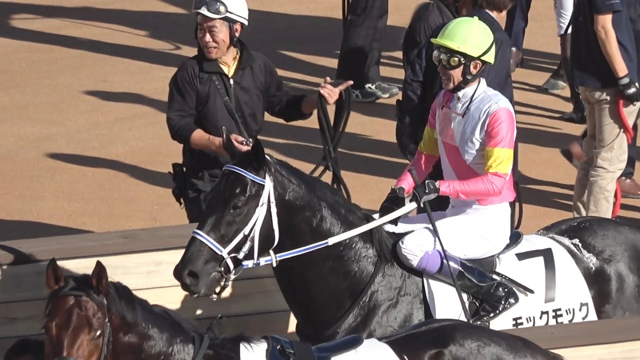 【現地】2025 モックモック 武豊騎手 本日2勝目！ 3歳以上2勝クラス【マイルCSday 京都競馬場】