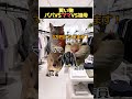 【猫ミーム】買い物比較パパママ祖父 #猫ミーム #shorts #catmemes #猫マニ #あるある