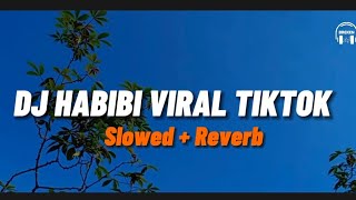 Dj Habibi Tren JJ Viral Tiktok / Slowed + Reverb 🎧