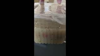 Easy direct printing of use by date and batch number on packaged food and ready meals