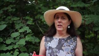 USDAC Super PAC: Buffalo Commons (UN)VOTE