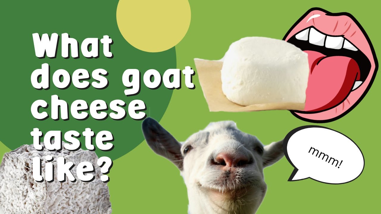 What Does Goat Cheese Taste Like?