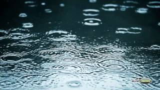 Rain soundtrack - full 60 minute soundscape