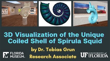 3D Visualization of the Unique Coiled Shell of Spirula Squid