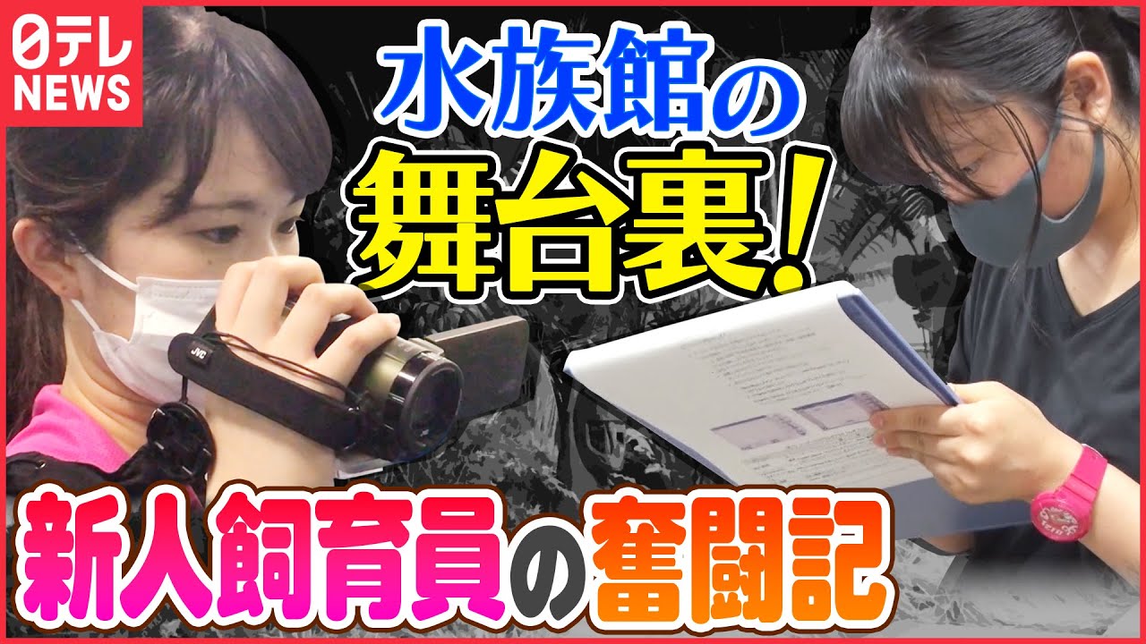 【密着】新人飼育員の仕事って!?水族館オープンまでの奮闘記「水族館誕生の舞台裏」『every.特集』