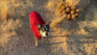 Happy Friday! Take a walk with me.