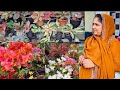 flower House " 1 " ( season - 3 )