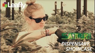 Satori in Bellingham, Washington – Dispensary Showcase