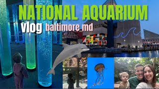 VLOG: National Aquarium in Baltimore MD