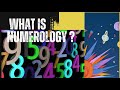 What is Numerology || Numerology #educationalvideo #numerology #learnnumerology #numerologist #learn