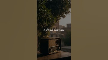 إِن يَتَّبِعُونَ إِلَّا ٱلظَّنَّۖ | أحمد سليمان السعدني | سورة النجم