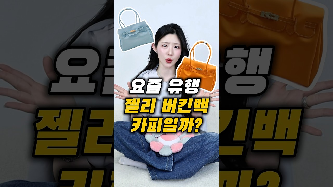 요즘 유행 '젤리 버킨백',사도 될까?