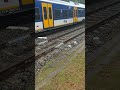 #treinleven flirt