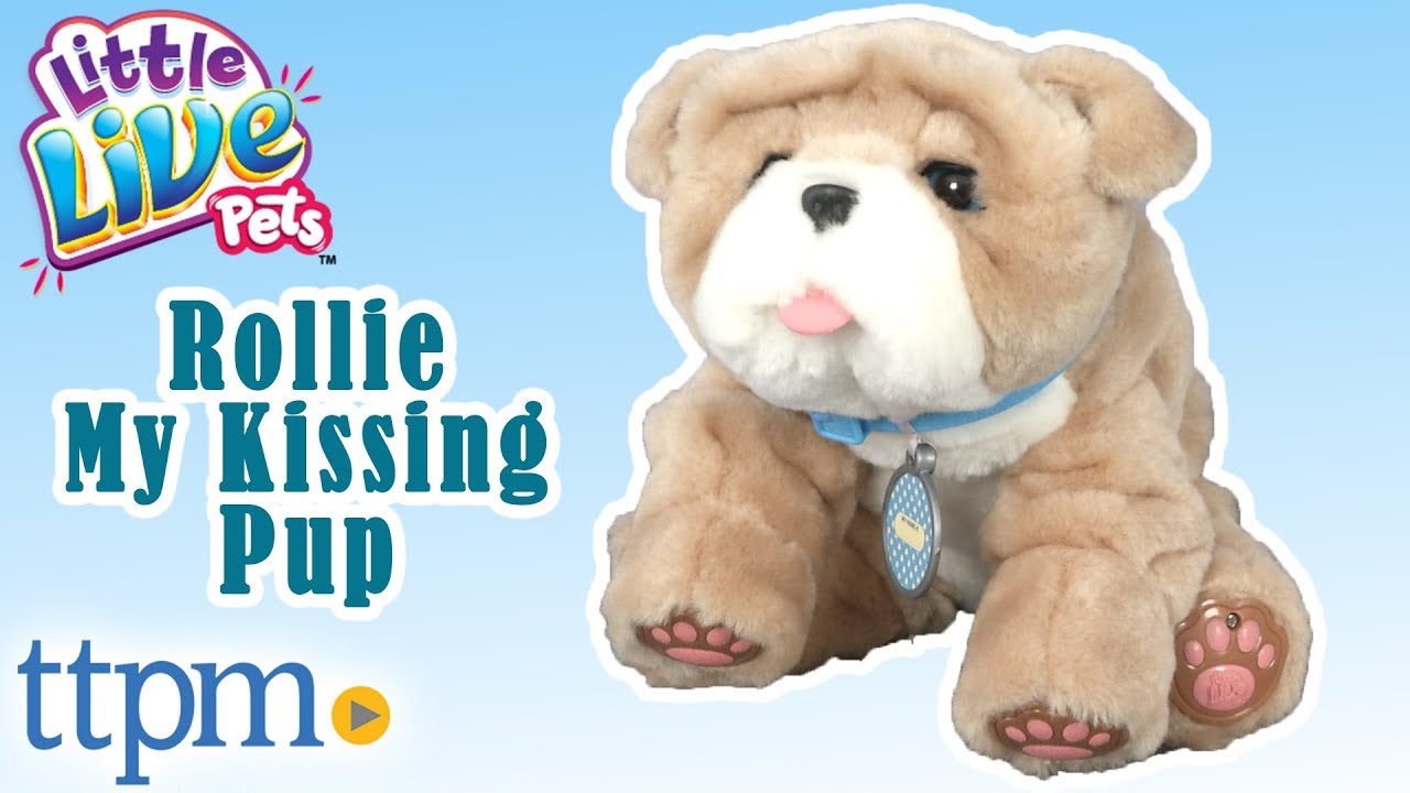 Details about   Little Live Pet Kissing Puppy Bull Dog Rollie Interactive Puppy Move Sound 