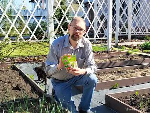 Видео: Защита от солнца для садоводов: как избежать солнечных ожогов в саду