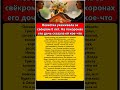 Невестка ухаживала за свёкром 8 лет На похоронах его дочь сказала ей кое что