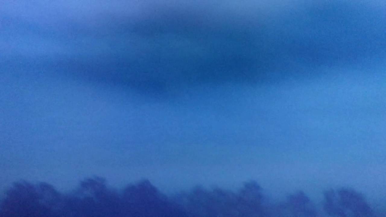 Shrek Presents Scared Shrekless Intro