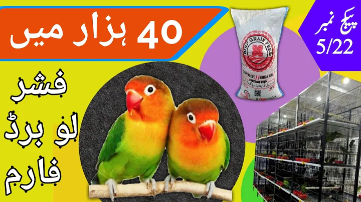 Fischer Biz Pkg 5/22 | Start Lovebird Farming with...